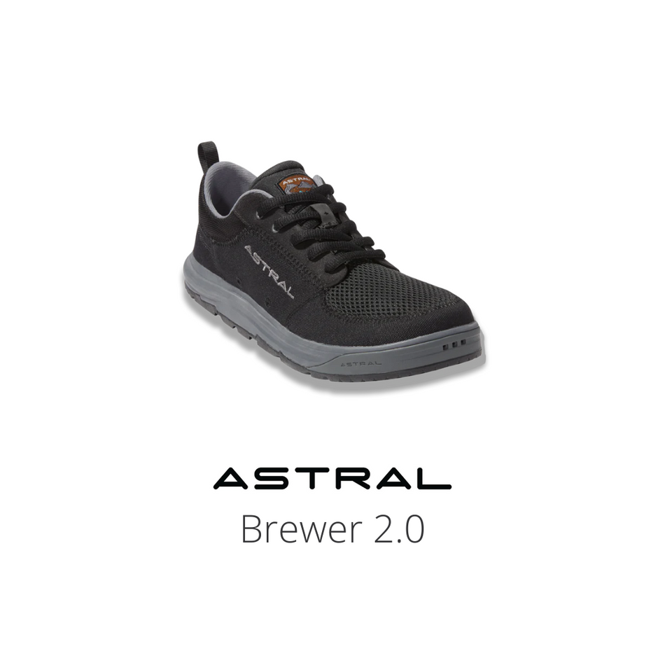 Brewer 2.0